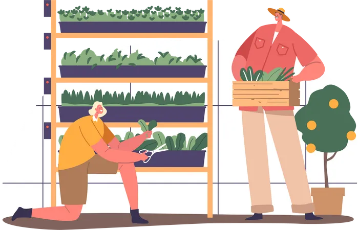 Jardineiro cuidando de plantas em ambiente controlado  Ilustração