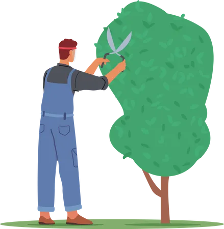 Jardineiro masculino aparando árvore  Ilustração