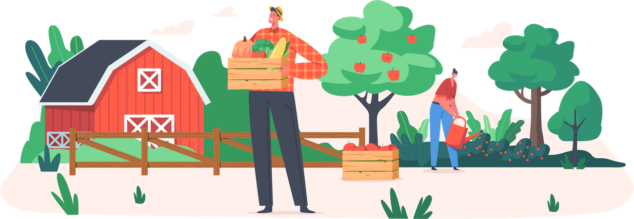 Jardineiro masculino segurando cesta de maçãs frescas  Ilustração