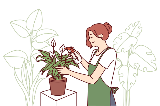 La jardinera cuida las plantas de la casa rociando las hojas con fertilizante  Ilustración