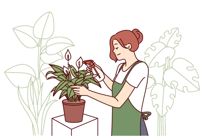 La jardinera cuida las plantas de la casa rociando las hojas con fertilizante  Ilustración