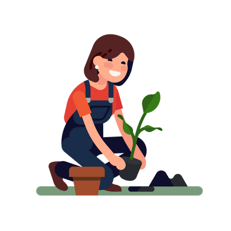 La jardinera está plantando una pequeña planta en el suelo  Ilustración