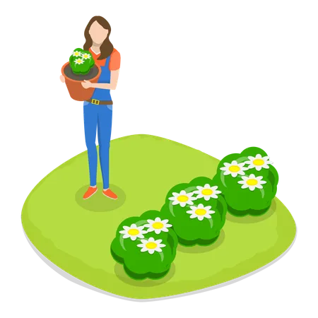 Jardinero femenino sosteniendo la planta  Ilustración