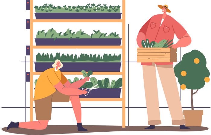 Jardinero cuidando plantas en un ambiente controlado.  Ilustración