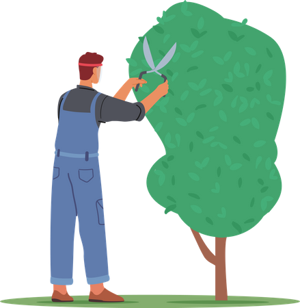 Jardinero macho podando árbol  Ilustración