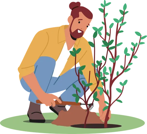 Jardinier plantant un arbre  Illustration