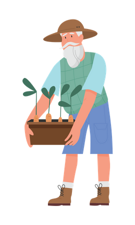 Jardinier senior tenant une plante  Illustration