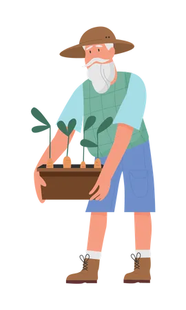 Jardinier senior tenant une plante  Illustration