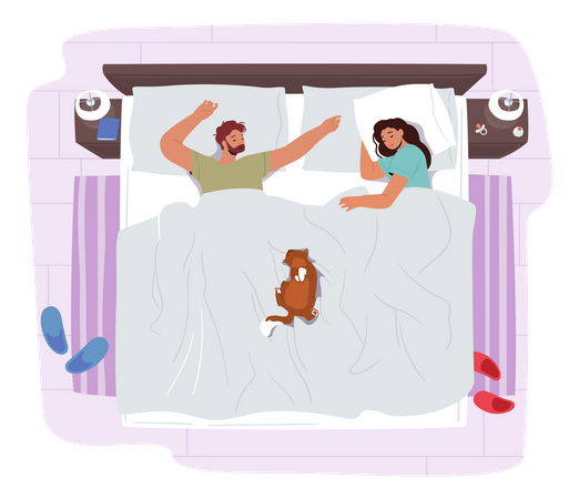 Jeune couple dormant sur le lit avec un chat drôle  Illustration