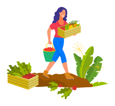 Jeune femme récolte des légumes  Illustration