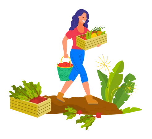 Jeune femme récolte des légumes  Illustration