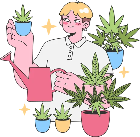 Jeune homme arrosant une plante de chanvre  Illustration