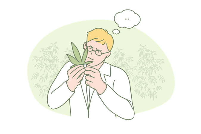 Jeune scientifique recherchant les propriétés chimiques de la marijuana  Illustration