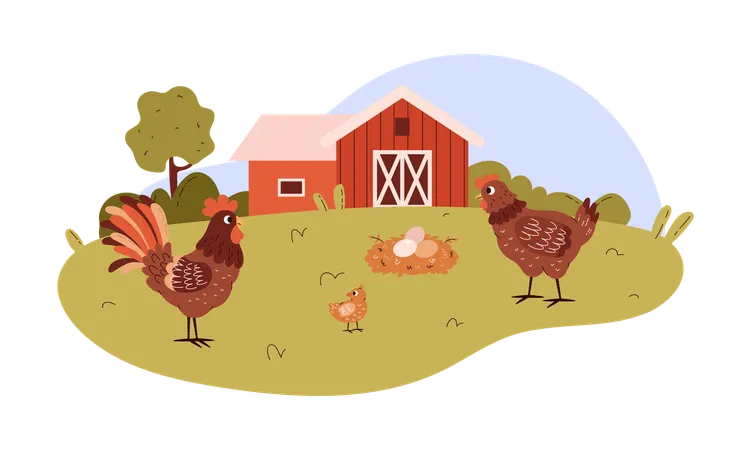 Ferme avicole mignonne avec une famille de poulets  Illustration