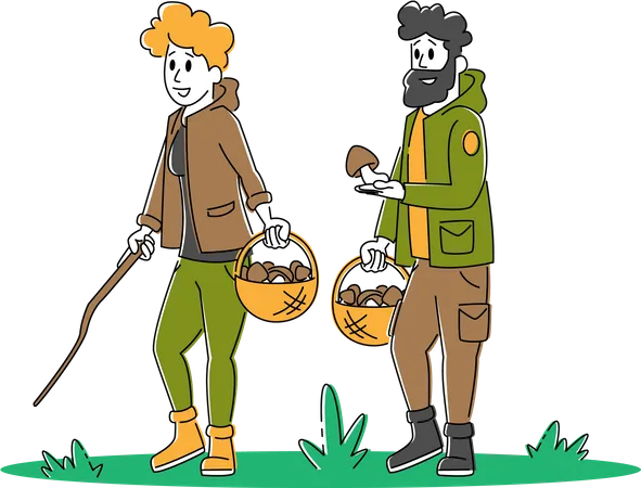 Jovem casal caminhando pelas montanhas e coletando cogumelos  Ilustração