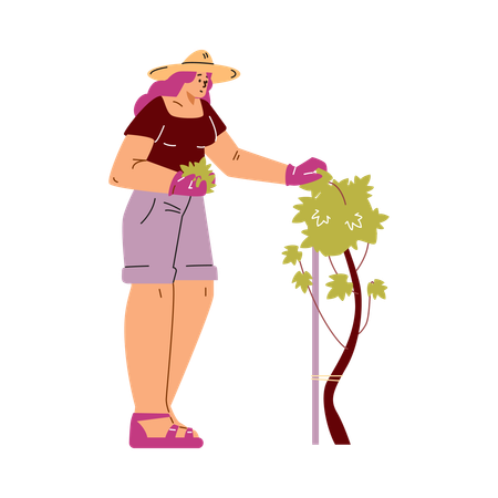 Jovem mulher de chapéu cuidando do vinhedo  Ilustração