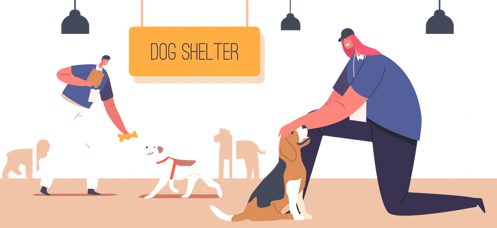 Jovem alimentando cães sem-teto em abrigo  Ilustração