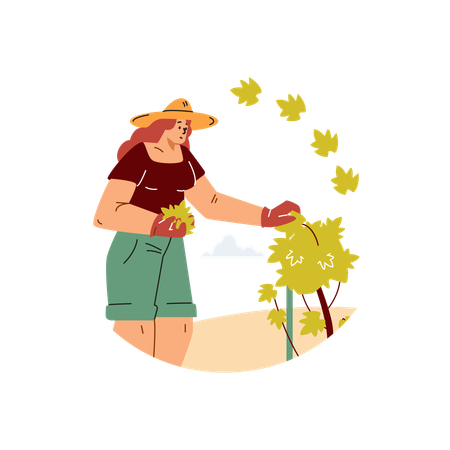 Jovem que cuida de pé de uva na plantação  Illustration