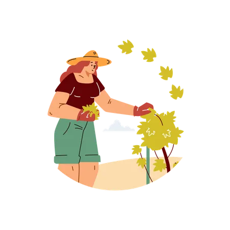 Jovem que cuida de pé de uva na plantação  Illustration