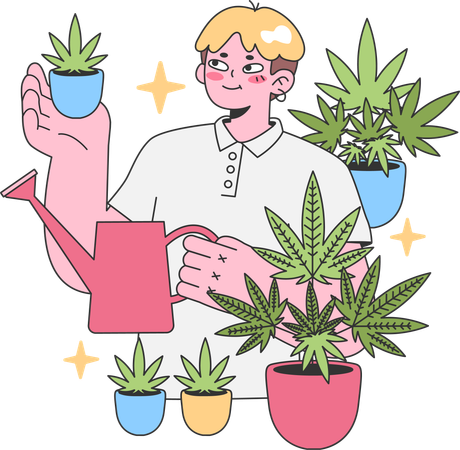 Jovem regando planta de cânhamo  Ilustração