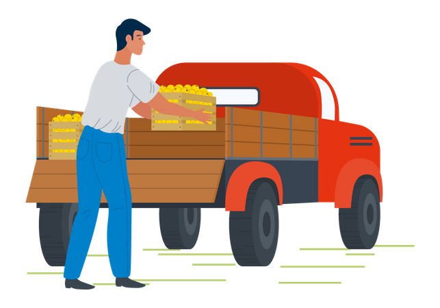 Un joven puso una caja de frutas en una camioneta  Ilustración