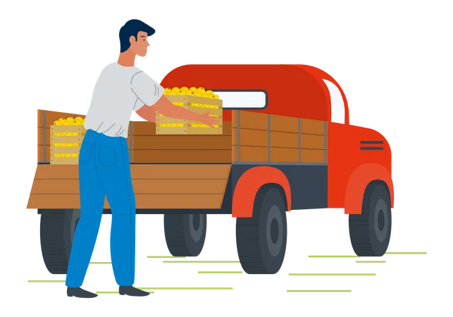 Un joven puso una caja de frutas en una camioneta  Ilustración