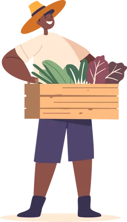 Joyful Child Farmer Holds A Box Brimming With Fresh Greens Black Boy Character Radiating Enthusiasm For Nature Bounty Capture The Essence Of Healthy Living Cartoon People Vector Illustration Illustration
