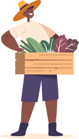 Joyful Child Farmer Holds A Box Brimming With Fresh Greens  Illustration