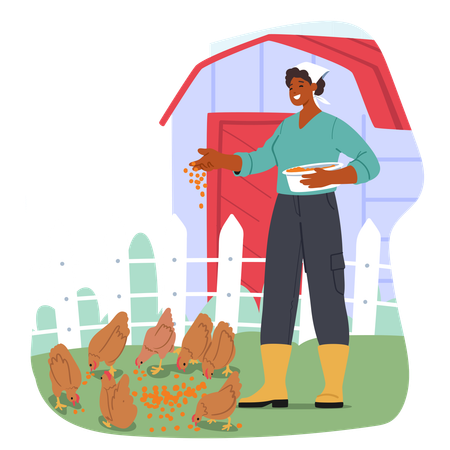 Joyful Woman In Rubber Boots Feeds Chickens In farm  Illustration