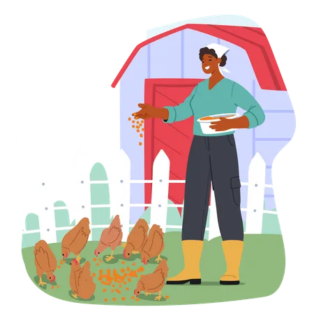 Joyful Woman In Rubber Boots Feeds Chickens In farm  Illustration