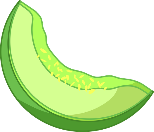 Juicy Melon Slice  Illustration