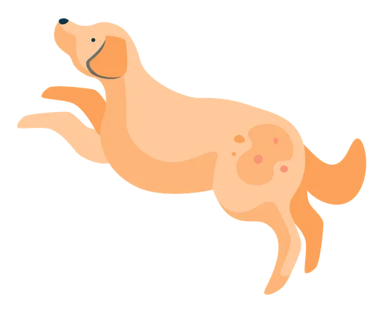 飛び跳ねる犬  イラスト