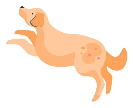 Jumping Dog  Illustration