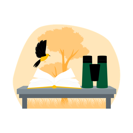 Junge beobachtet Vogel  Illustration