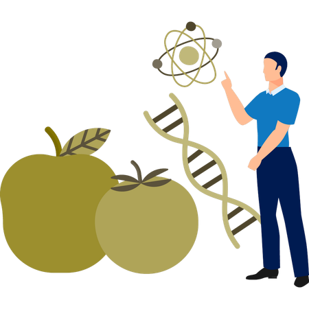 Junge repräsentiert Nahrungsmittel-DNA  Illustration