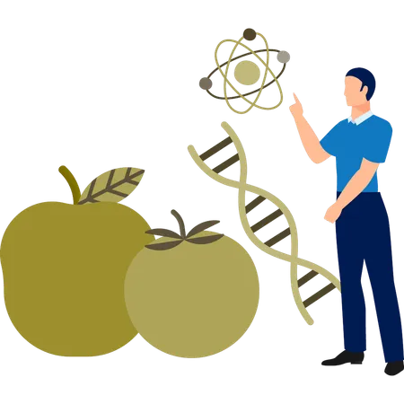 Junge repräsentiert Nahrungsmittel-DNA  Illustration