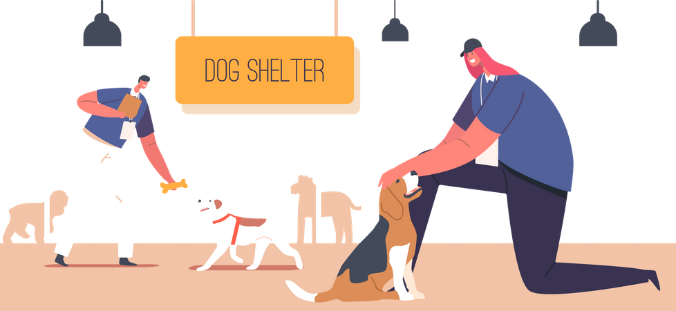 Junger Mann füttert obdachlose Hunde im Tierheim  Illustration