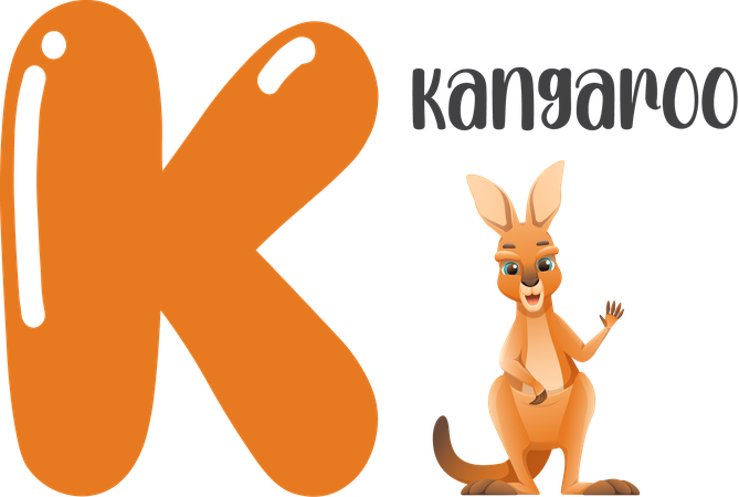 Kangaroo  Illustration