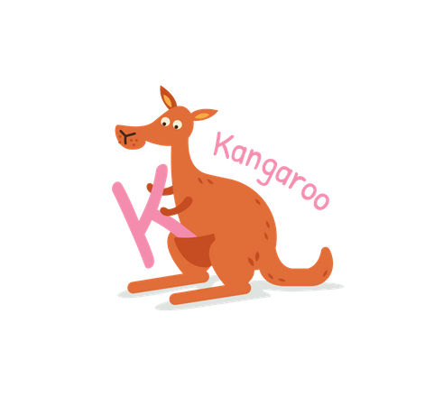 Kangaroo  Illustration