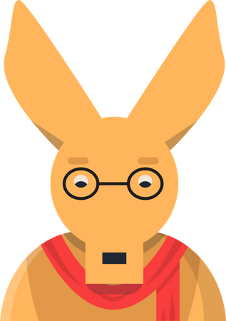 Kangaroo  Illustration