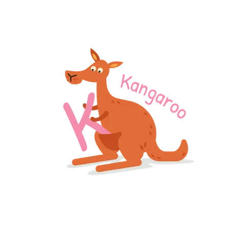 Kangourou  Illustration