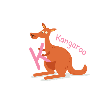 Känguru  Illustration