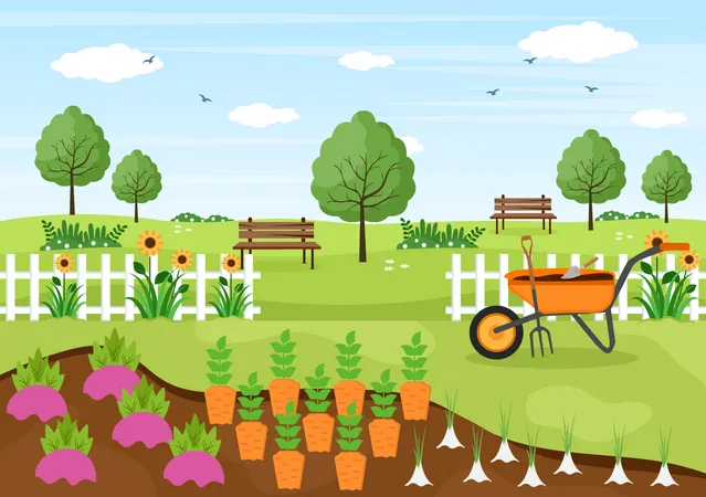 Karottenfarm  Illustration