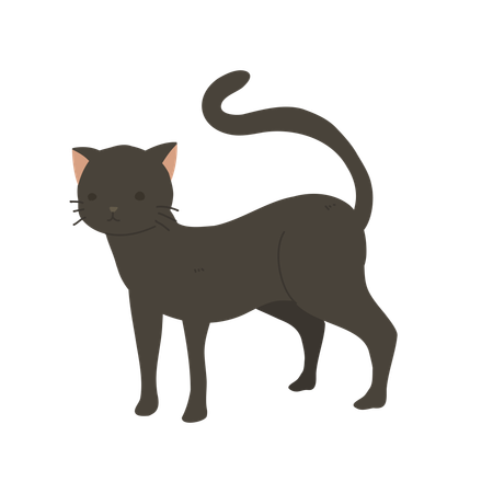 Katze  Illustration