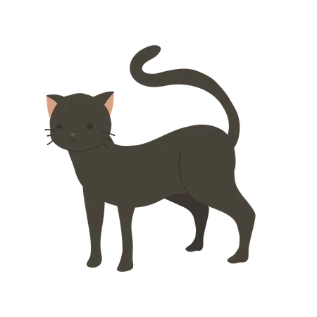 Katze  Illustration