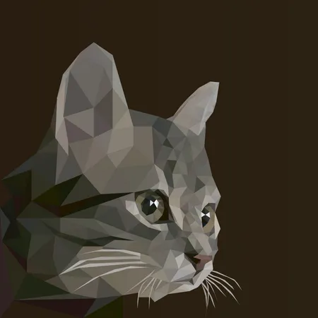 Katze  Illustration