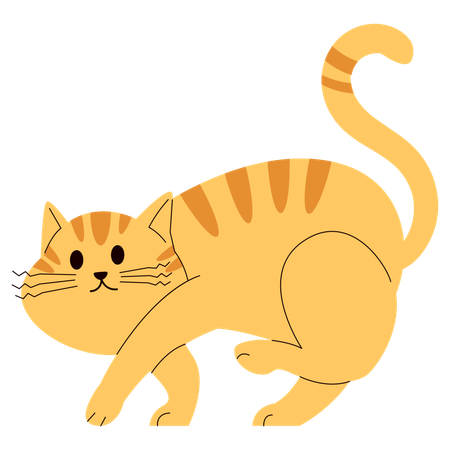 Katze schleicht herum  Illustration