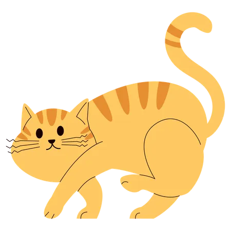 Katze schleicht herum  Illustration