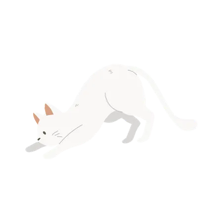 Kawaii Cat in Relaxing Posture  Illustration