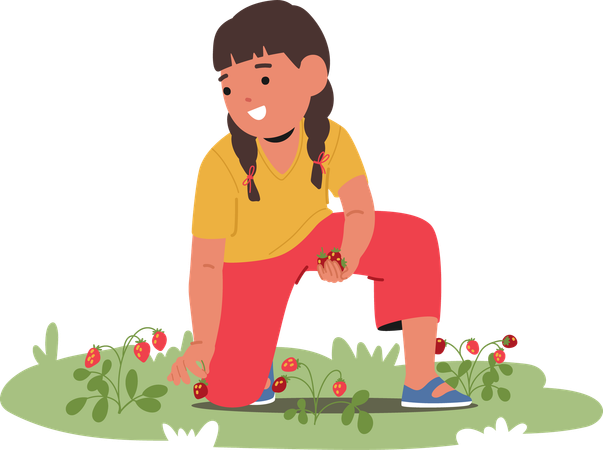 Kid collecting wild berries in park  Illustration